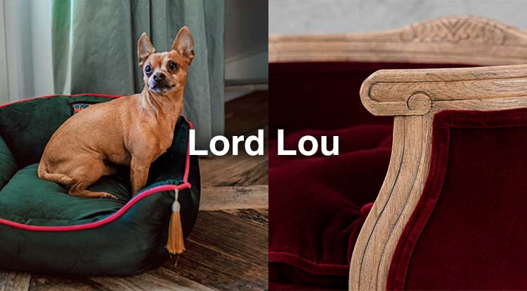 Собакам и кошкам тоже нравится наша мебель - новинки Lord Lou в наличии в Home Concept