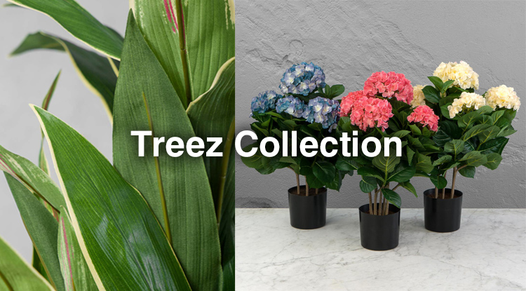Приближаем лето с вечнозелёными новинками растений и трендовых кашпо от Treez Collection