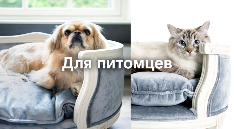 Великолепие роскошного комфорта в диванах для братьев наших меньших