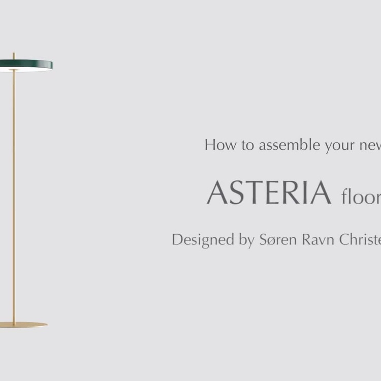 Торшер светодиодный Астерия Asteria Floor Lamp