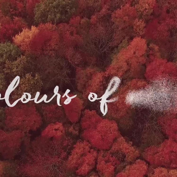 Подвесной светодиодный светильник Астерия, M Asteria Hanging Lamp Medium