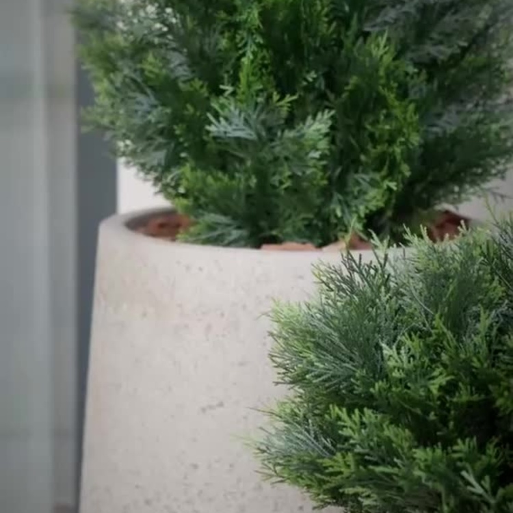 Искусственная шаровидная туя Брабант Brabant Fluffy Ball Street Thuja 80 cm