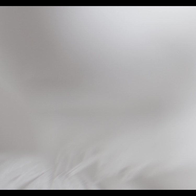 Подвесной светильник Эос Эстер на белом проводе, белые перья, M Eos Esther Hanging Lamp With White Cord Medium