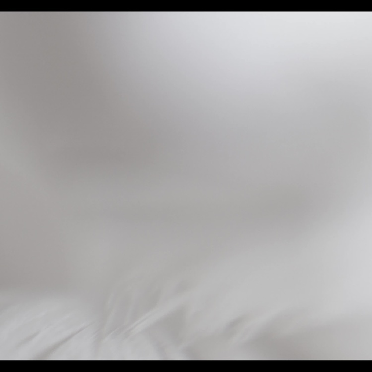 Подвесной светильник Эос Эвиа на белом проводе, белые перья, L Eos Evia Hanging Lamp With White Cord Large