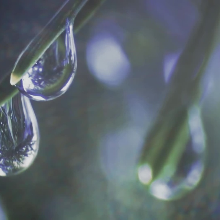 Подвесной светильник Эос на белом проводе, S Eos Hanging Lamp With White Cord Mini