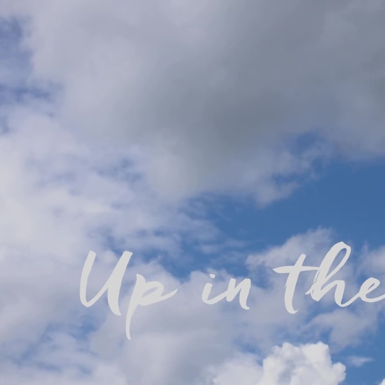 Бра Эос Ап, белые перья, L Eos Up Wallsconce Large