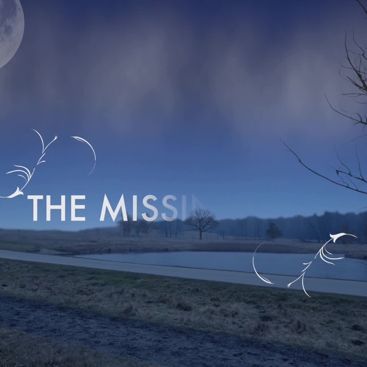 Подвесной светильник Эос на белом проводе, белые перья, XXL Eos Hanging Lamp With White Cord Extra Extra Large