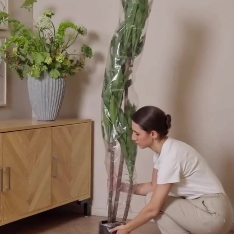 Искусственная драцена Компакта Dracaena Compacta 120 cm