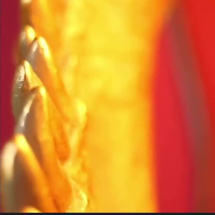 Бра Динозавр Рекси Wall Lamp Dinosaur Rexy