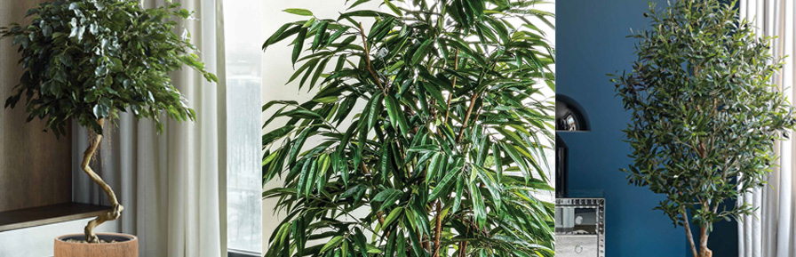 2023-12-18_Treez-Collection