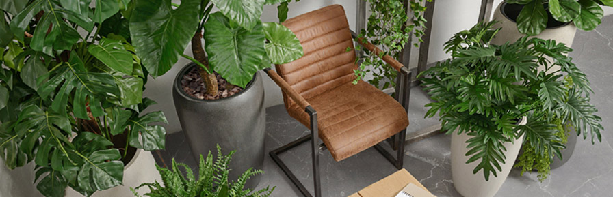 2023-08-16_Treez-Collection