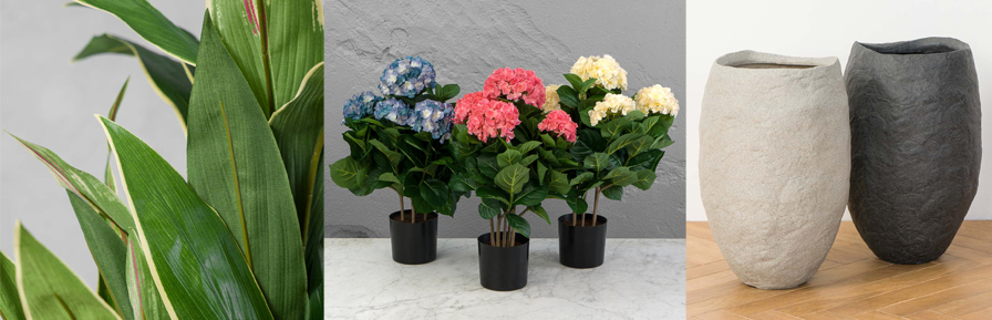 2025-05-22_Treez-Collection