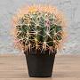 Искусственное растение Barrel Cactus 27 cm
