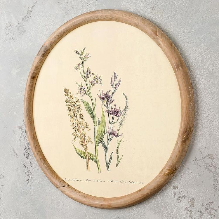 Набор из четырёх картин Флора Set Of 4 Round Frame Prints Flora