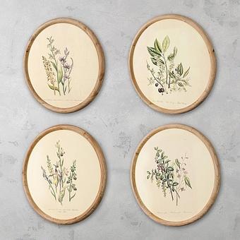Set Of 4 Round Frame Prints Flora