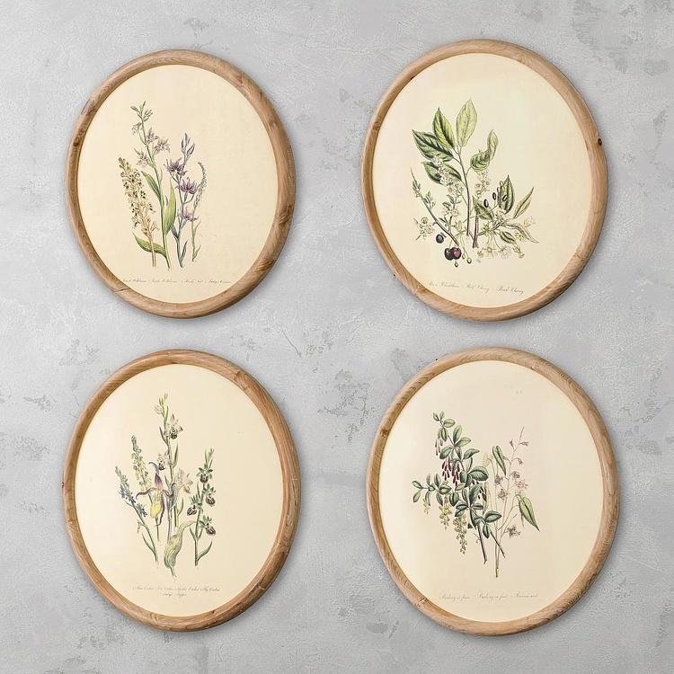 Набор из четырёх картин Флора Set Of 4 Round Frame Prints Flora