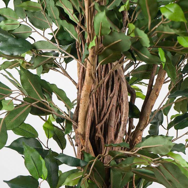 Искусственный фикус Лиана Де люкс, L De Luxe Ficus Liana 180 cm