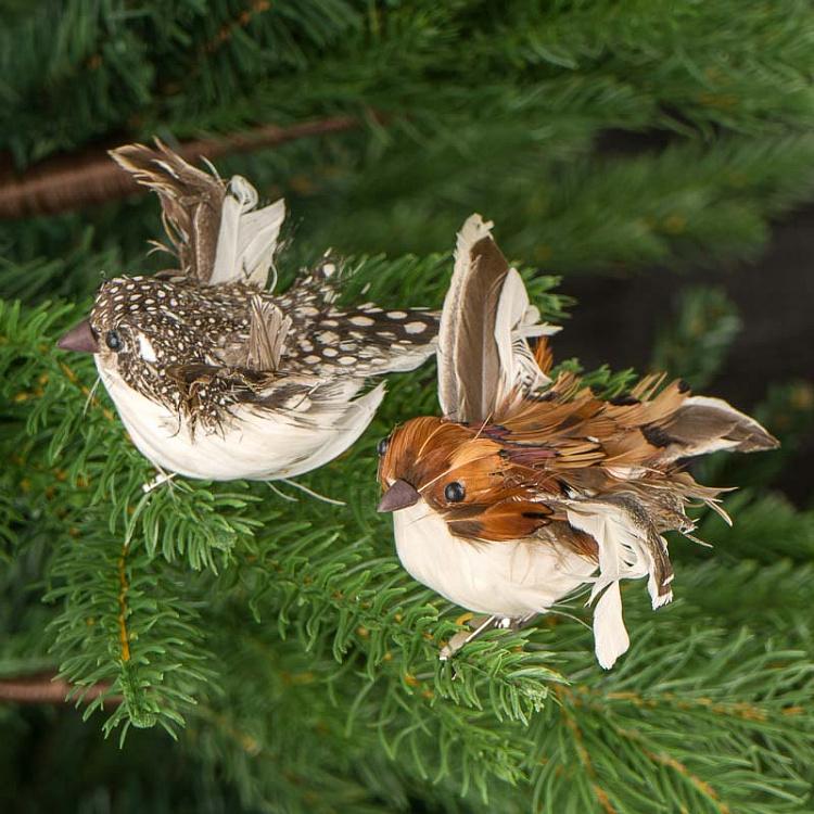 Набор из двух ёлочных игрушек на прищепке Пернатые птицы Set Of 2 Feather Birds On Clip Brown 11 cm