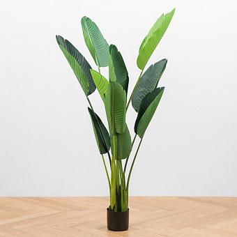Style Strelitzia Green 150 cm