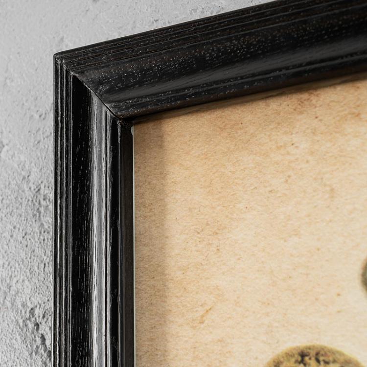 Картина-принт Яйца Animals Eggs