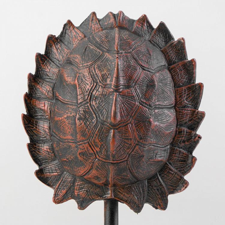 Статуэтка Панцирь черепахи на подставке Turtle Shell On Stand
