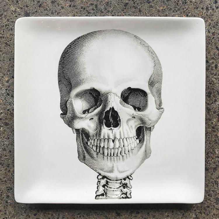 Набор из трёх тарелок Скелет Set Of 3 Plates Sciences Nat