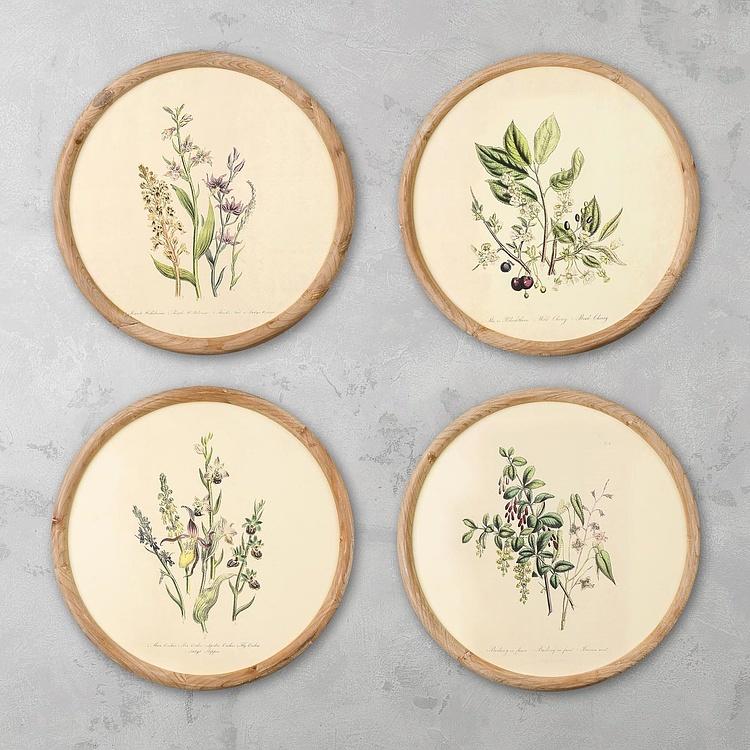Набор из четырёх картин Флора Set Of 4 Round Frame Prints Flora
