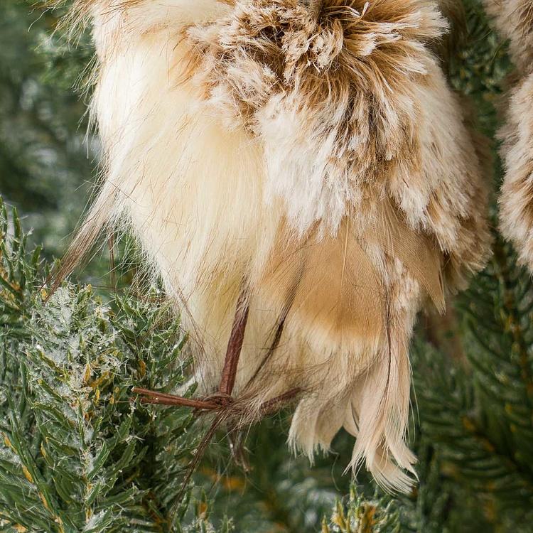 Набор из двух ёлочных игрушек Коричневые пушистые совы Set Of 2 Furry Owls Brown Cream 16 cm