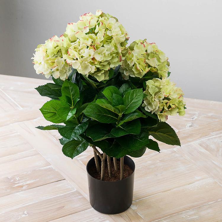 Искусственная кустовая кремово-зелёная гортензия  Hydrangea Bush Creamy Green 55 cm