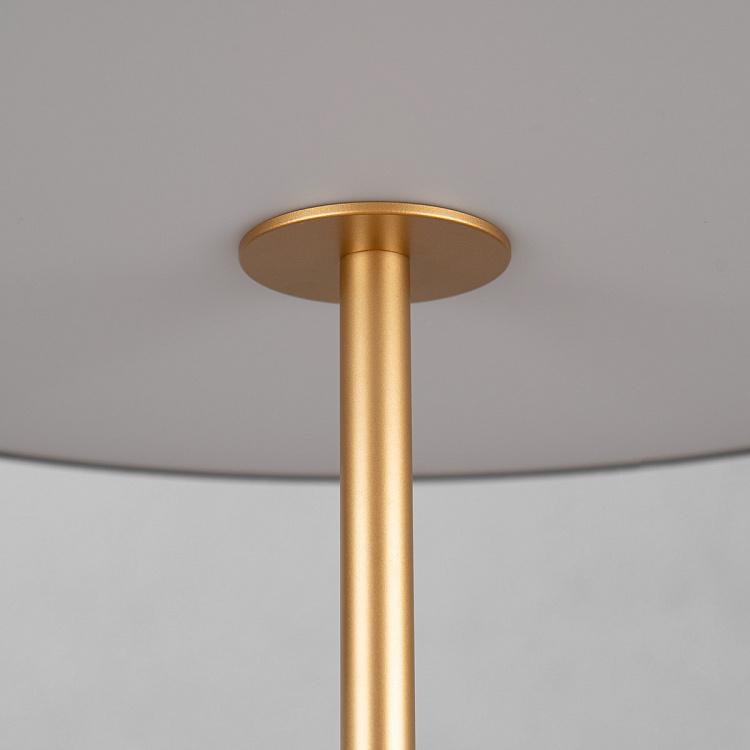 Торшер светодиодный Астерия Asteria Floor Lamp