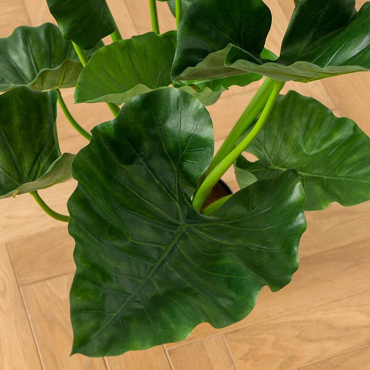 Искусственная кустовая алоказия Калидора, M Calidora Alocasia Bush 75 cm