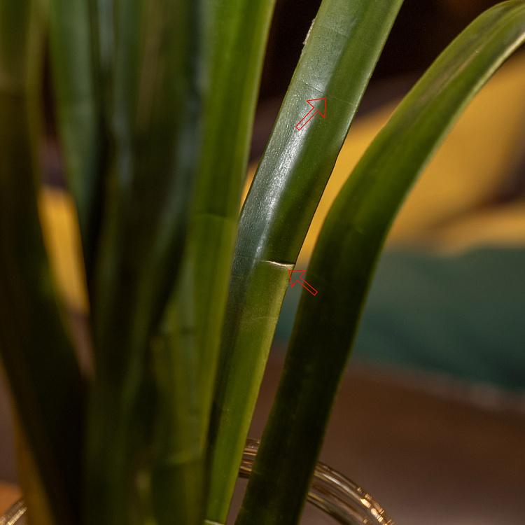 Искусственная Орхидея Цимбидиум белая дисконт Orchidee Cymbidium White 80 cm discount