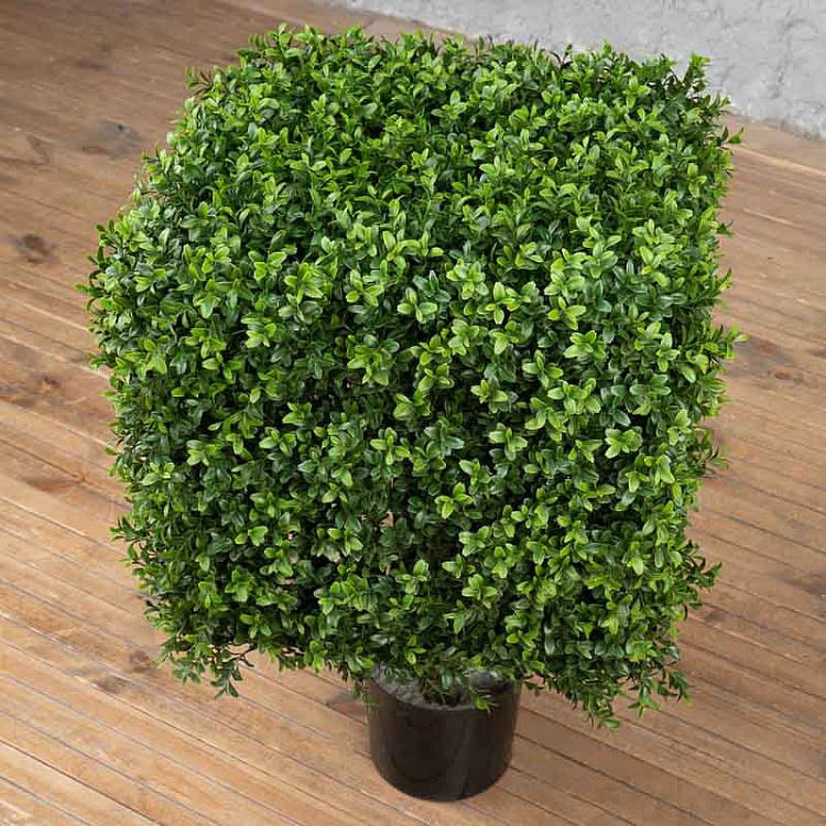 Искусственный самшит в форме куба Boxwood Square 72 cm