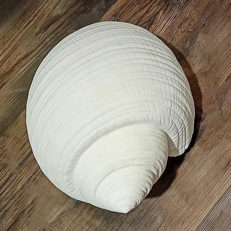 Фарфоровая настольная лампа Ракушка Porcelain Table Lamp Shell