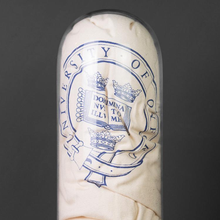 Стеклянный клош с основанием 3 Globe 3 And Socle D13 cm