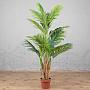 Искусственное дерево Areca Catechu Palm 140 cm