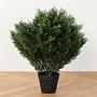 Искусственное растение Brabant Fluffy Ball Street Thuja 80 cm