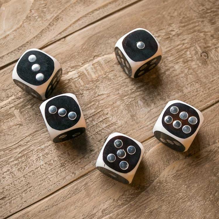 Коробка с 5 игральными костями Big Box With 5 White And Black Dices