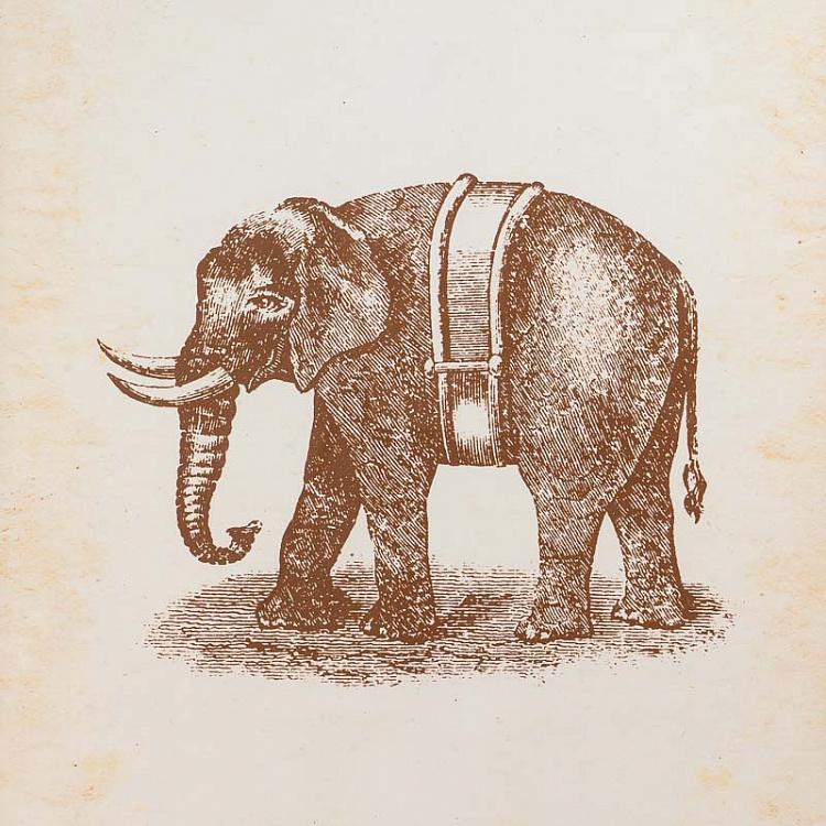 Картина-принт Слон Nature Elephant