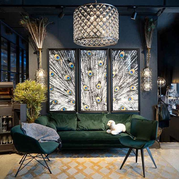 Фото-принт триптих Цветной хвост павлина Set Of 3 Animal Peacock Color