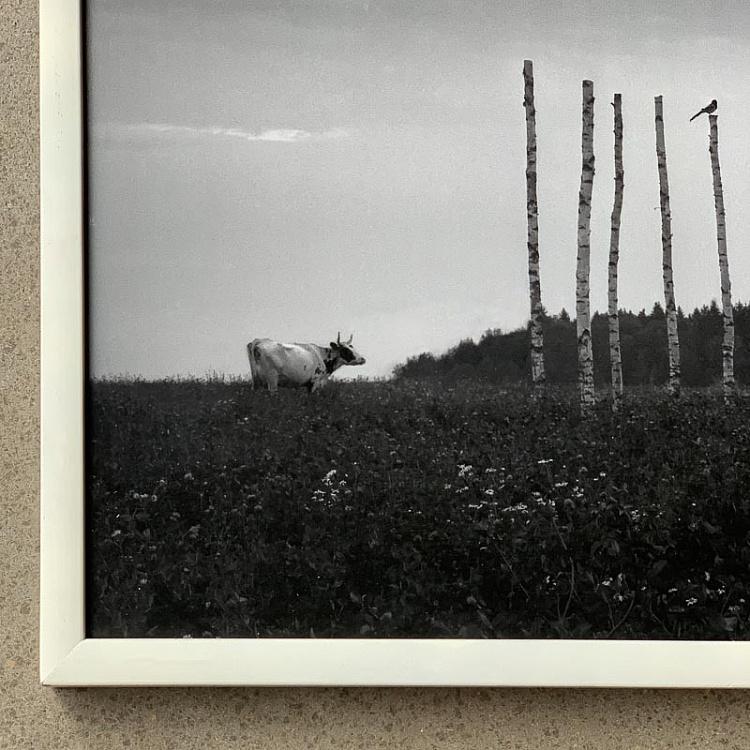 Фотография в рамке Палладианская схема 2 Palladian Scheme 2 Photo