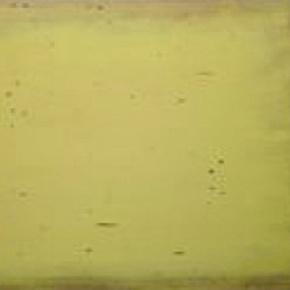 тополь Jaune Paille