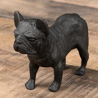 Small French Bulldog