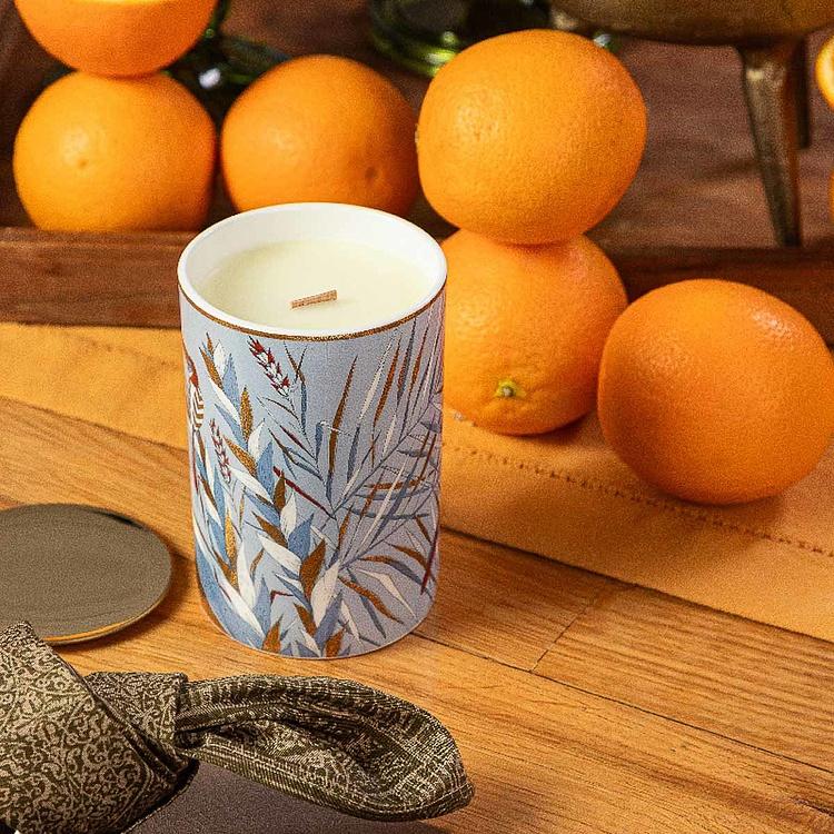 Высокая аромасвеча с туканом Африка Africa High Candle Toucan Blue