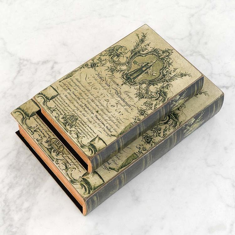 Набор из двух шкатулок Старая Англия Set Of 2 Book Boxes Old England