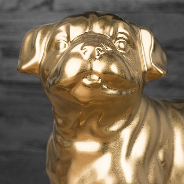 Статуэтка Золотой Мопс Golden Pug