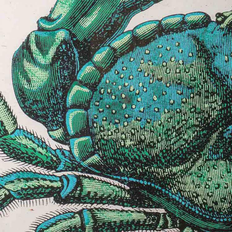 Картина-принт Краб, левая часть  Crab Left