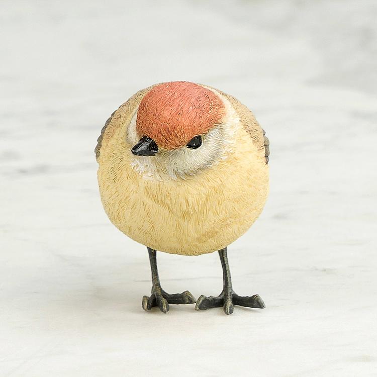 Статуэтка Сказочная птица Bird With Metal Feets