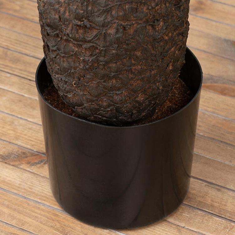 Искусственная пальма Цикас Cicas Palm 65 cm