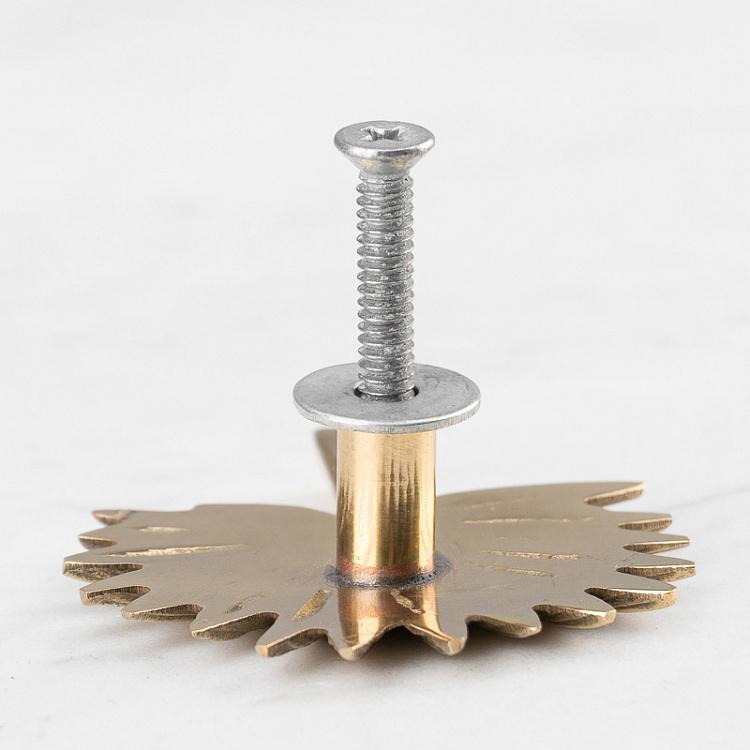 Мебельная ручка Пальма Palm Knob Gold